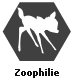 Zoophilie